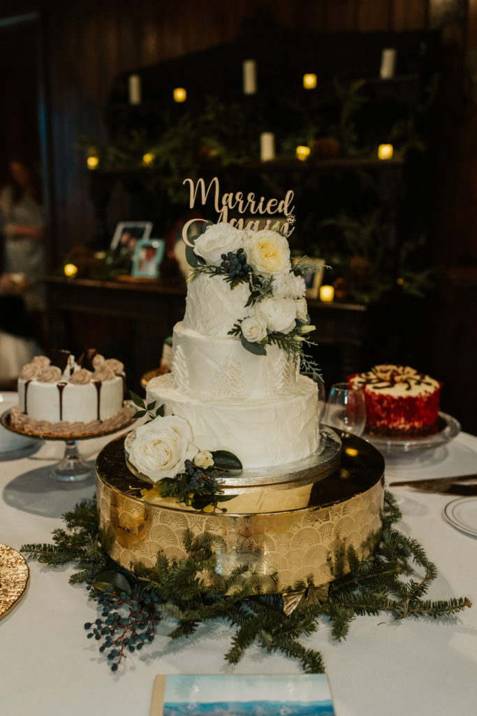 Charlotte Wedding Photographer